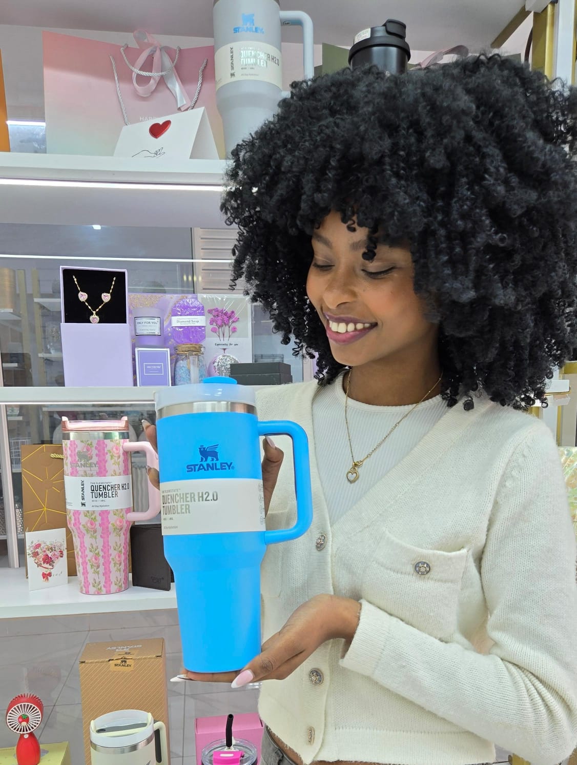 Stanley Cup - Plain Color Tumbler with Handle | Bend the Trend