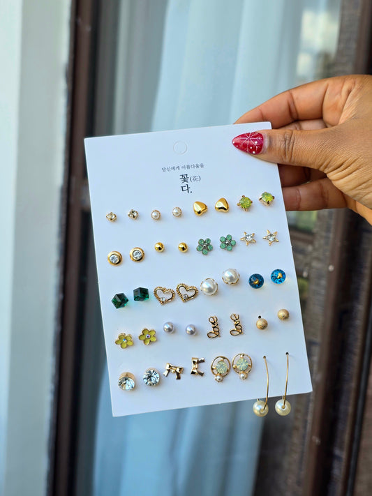 Earring Set 20 piece Earring Set